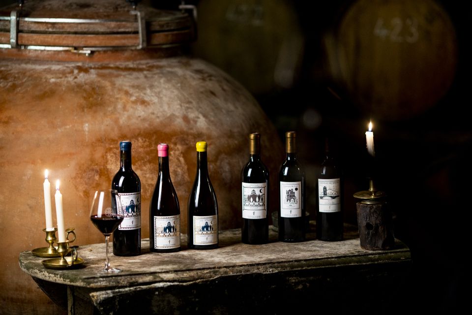 Château de Luc: Unique visit and wine tasting - The Midi viticole epic: 19th-century glory and the 1907 revolt