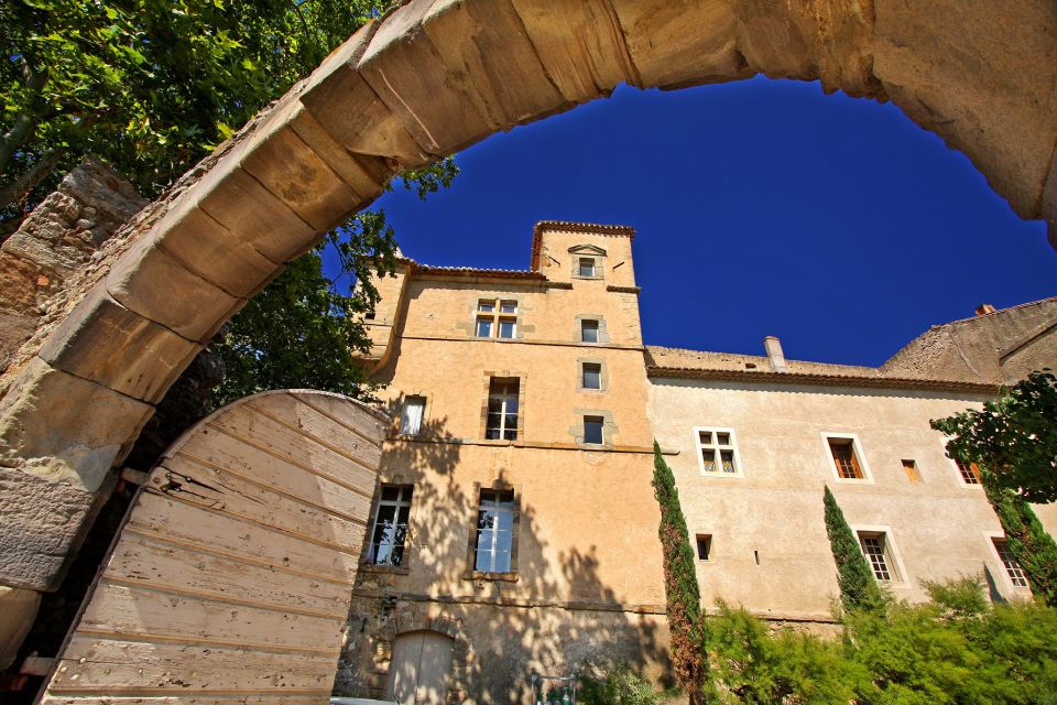 Château de Luc: Unique visit and wine tasting - Organic wine tasting in an old stable: what you’ll drink and why it’s worth it