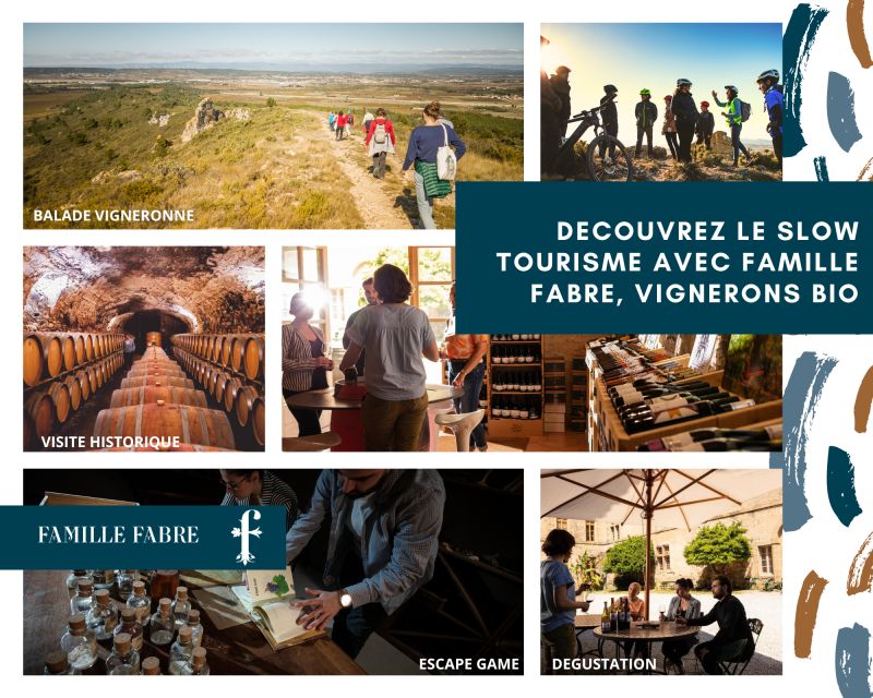 Château de Luc: Unique visit and wine tasting - Languages and guide style: how to get the most from the 3-language tour