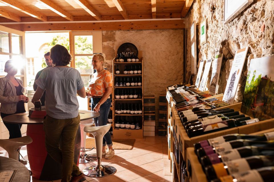 Château de Luc: Unique visit and wine tasting - Price and value at around $15 per person