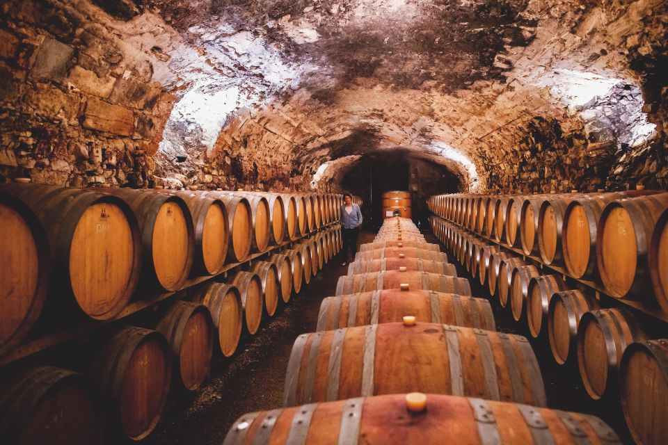 Château de Luc: Unique visit and wine tasting - Should you book Château de Luc?