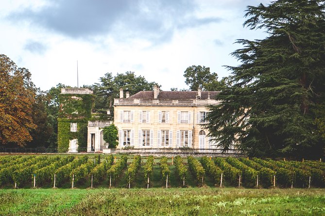Chateau du Taillan and Park including Wine Tasting Tour - Key highlights to focus on