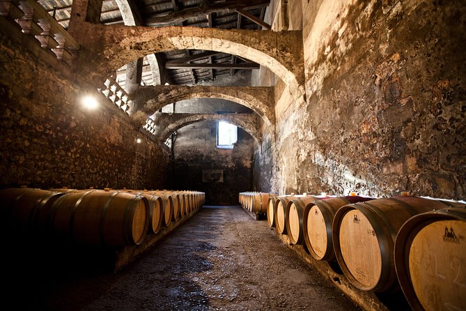 Chateau du Taillan and Park including Wine Tasting Tour - Chateau du Taillan: a real working vineyard near Bordeaux