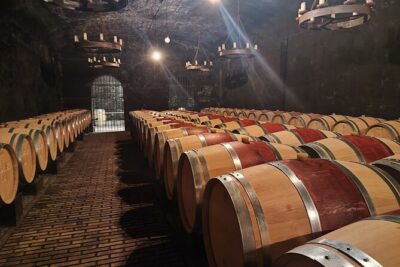Chateauneuf du Pape and Luberon vineyard tour from Avignon - Starting from Avignon at 8:30 am