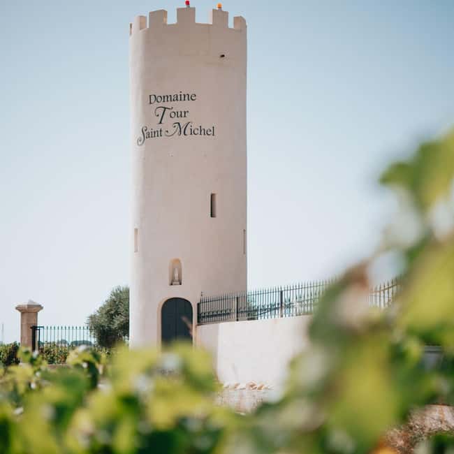 Châteauneuf-du-Pape: tour/tasting in the heart of Domaine Tour St Michel - Why This Châteauneuf-du-Pape Cellar Tour Is Worth Your Time