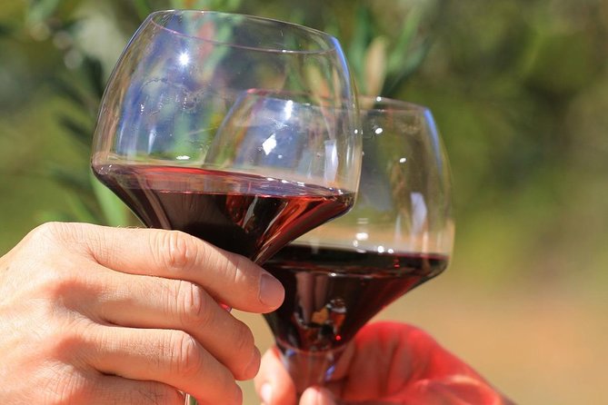 Châteauneuf du Pape Wine Day Tasting Tour including Lunch from Avignon - Why This Châteauneuf-du-Pape Day Trip Works So Well from Avignon