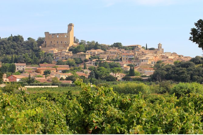 Châteauneuf du Pape Wine Day Tasting Tour including Lunch from Avignon - Lunch in a Proper Setting: The Midday Reset You’ll Appreciate