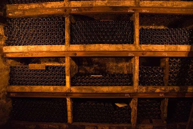 Chateauneuf du Pape wine tour - Chateauneuf-du-Pape in One Day: What 7 Hours Really Means