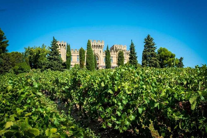 Chateauneuf du Pape wine tour - Meeting in Avignon Without Losing Your Mind