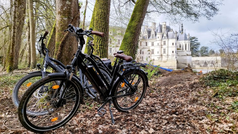 Chenonceau: E-Bike Guided Tour & Gourmet Picnic Lunch - Timing and Energy: What a 270-Minute Day Actually Means