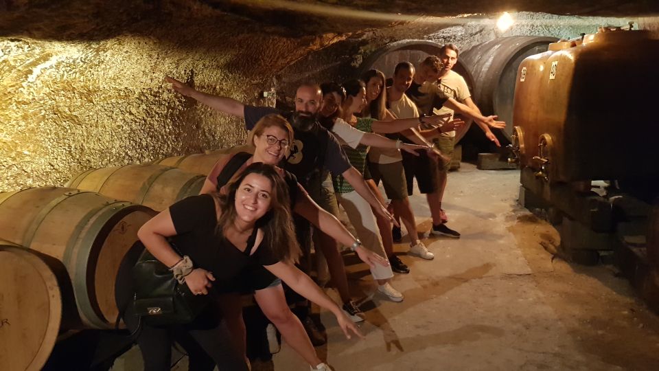 Chinon: Bicycle Tour of Saumur Wineries with Picnic Lunch - Key points at a glance