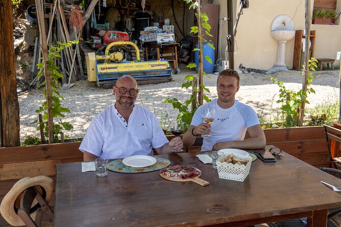Cinta Senese tour with tasting dinner on the farm - A walk through the vineyard and olive grove