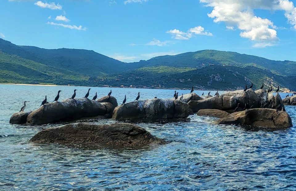 Circuit 2 H bateau avec vision sous-marine/Sites classés - Marine reserve and bird islets: nature watching with a front-row seat
