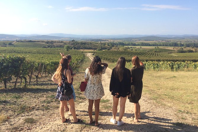 Cité de Carcassonne and Wine Tasting Private Day Tour from Toulouse - Key points at a glance
