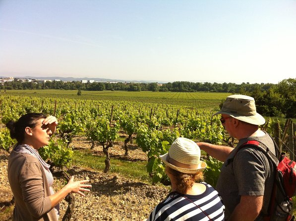 Cité de Carcassonne and Wine Tasting Private Day Tour from Toulouse - Why this makes a good Toulouse day trip