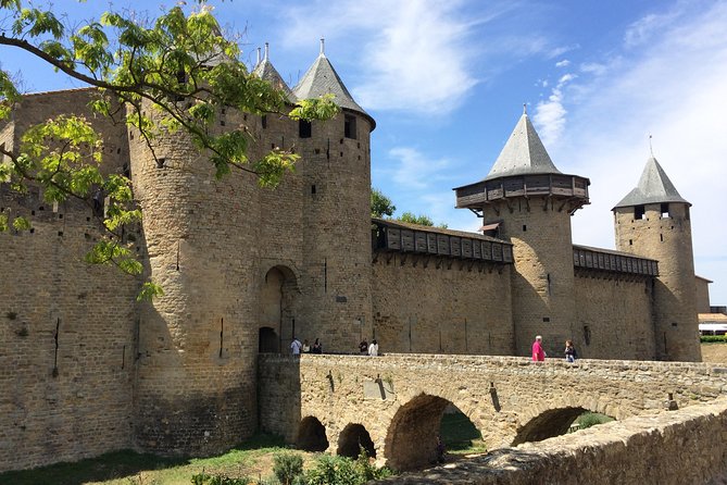Cité de Carcassonne and Wine Tasting Private Day Tour from Toulouse - Three hours for streets, lunch, and your own pace