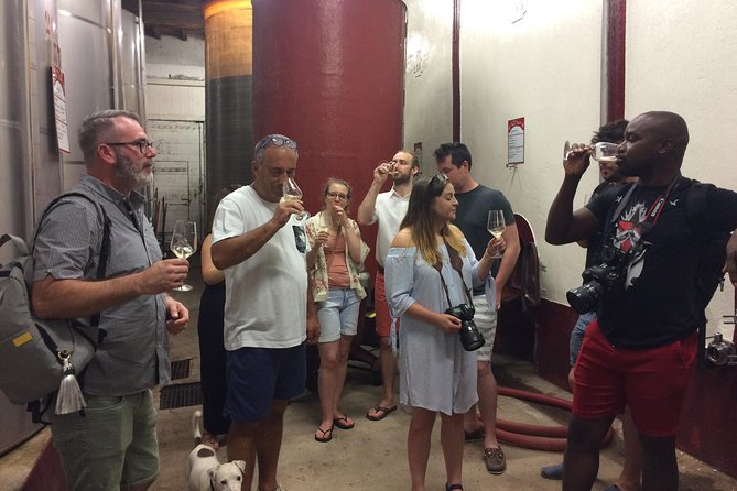 Cité de Carcassonne and Wine Tasting Private Day Tour from Toulouse - An afternoon at a French vineyard