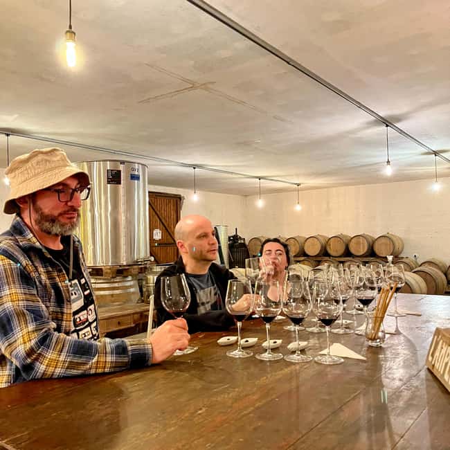 Classic car private tour : half day Margaux & Médoc - The first Médoc winery visit, about one hour