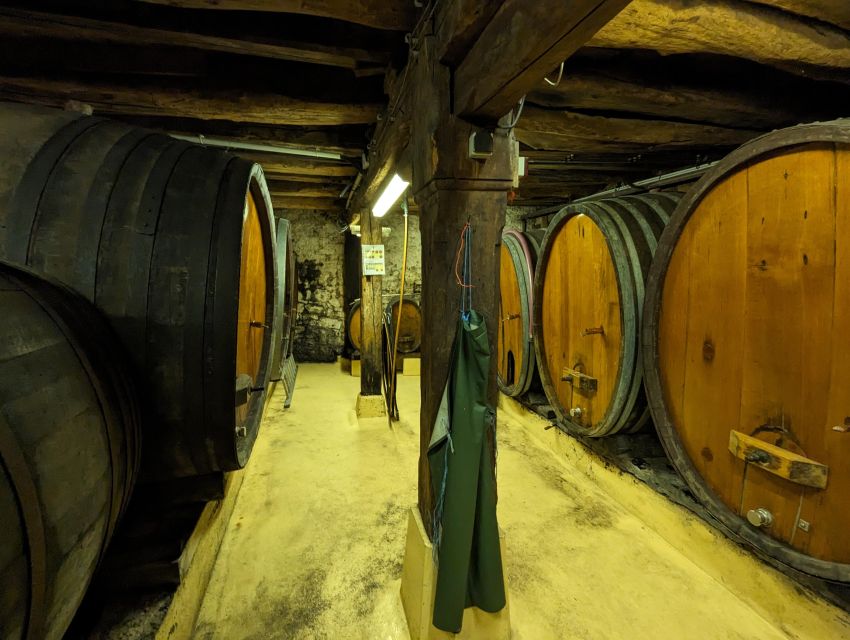 Colmar: Highlights Walking Tour and Wine Tasting - Old Town Colmar: Half-Timbered Color and Cobblestone Atmosphere