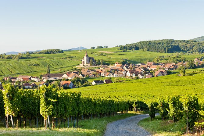Colmar, Medieval Village & Castle Small Group from Strasbourg - Haut-Koenigsbourg Castle: A Hilltop Fortress That Explains Trade, Not Just Views