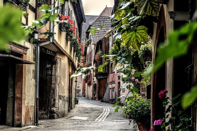 Colmar: Private guided walking tour of the Historical Center - What the private format changes