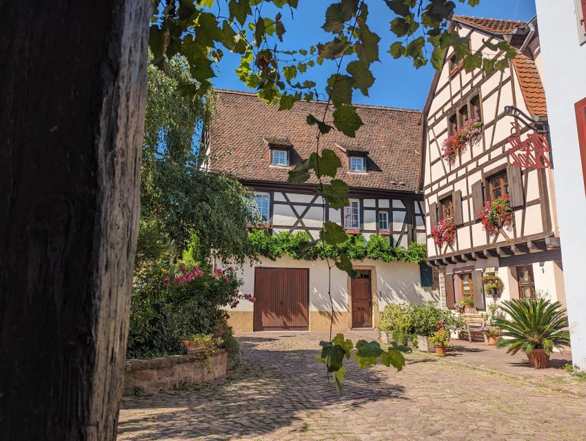 Colmar: Unusual Walking Tour with a local guide - Key things I’d bet you’ll care about