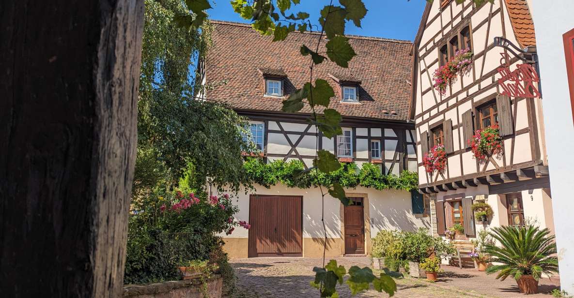 Colmar: Unusual Walking Tour with a local guide - Start at Bruat Fountain: your fast track to understanding Colmar