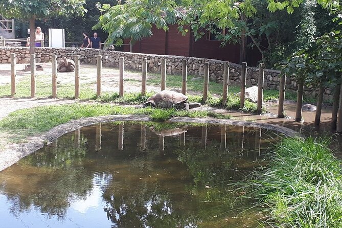 Corsica A Cupulatta Turtle Park Skip the Line Admission Ticket - Your Self-Guided Walk: What You’ll Actually Do