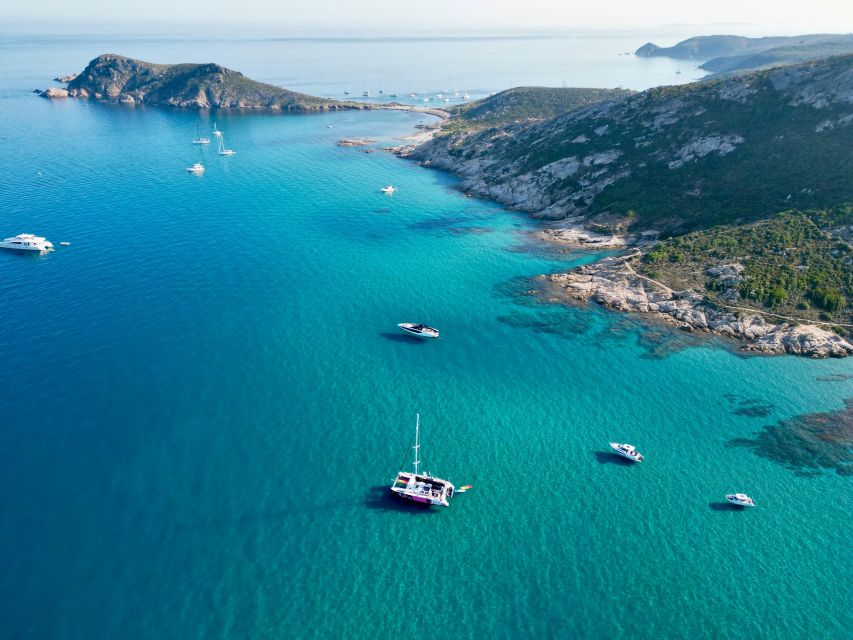 Côte d'Azur: Half-Day Coastline Catamaran Sailing Tour - What happens after: the lunchbox option and how to judge its value