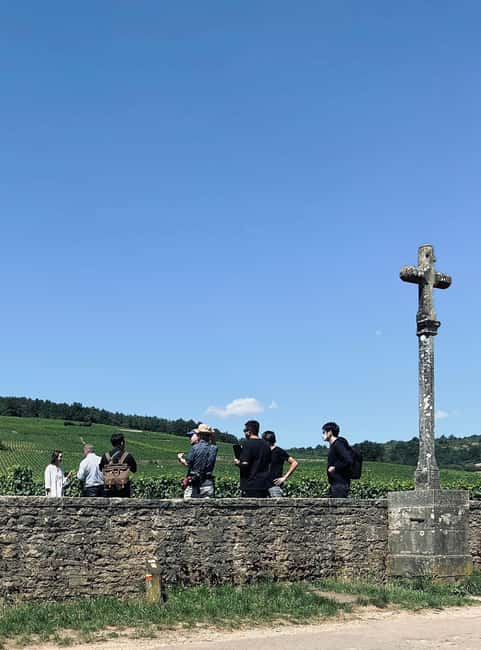 Côte de Nuits: Excursion in the heart of the vineyards - Key moments that make this tour worth your time