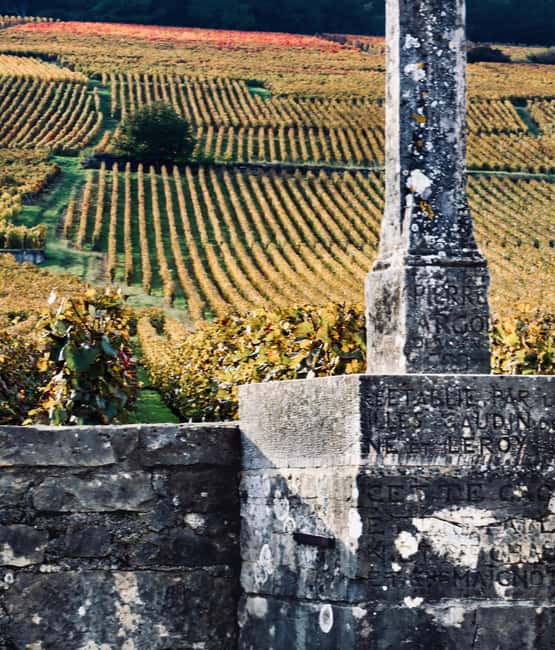 Côte de Nuits: Excursion in the heart of the vineyards - Getting from Beaune into the Côte de Nuits, fast and focused