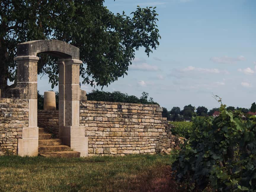 Côte de Nuits: Excursion in the heart of the vineyards - How vines work through the year (and why that changes what’s in your glass)