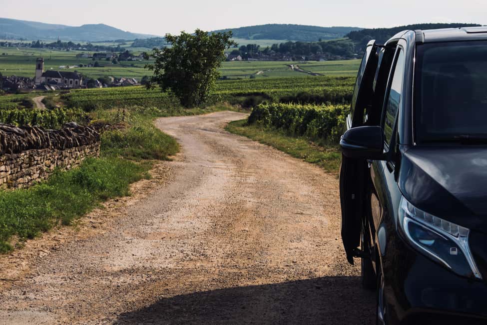 Côte de Nuits: Excursion in the heart of the vineyards - Inside the cellar: seeing how the wines are made