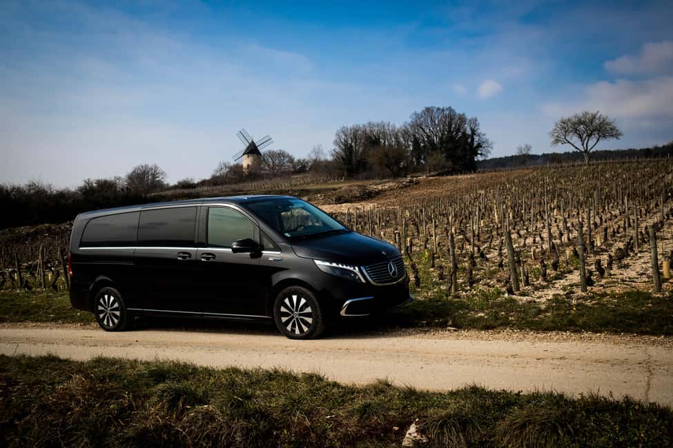 Côte de Nuits: Excursion in the heart of the vineyards - Who should book this Côte de Nuits excursion?