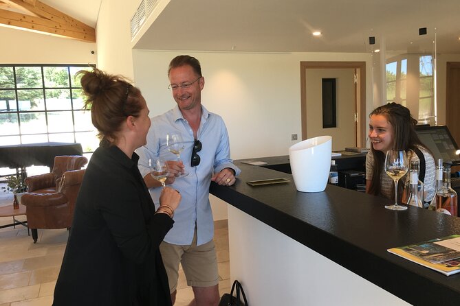 Côtes de Provence Small Group Day Trip with Winery Visits & Tastings from Nice - Afternoon winery visit: where differences start to pop