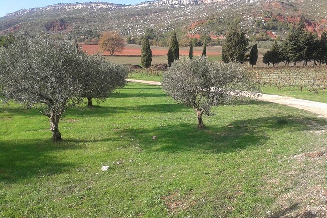 Cotes de Provence Wine Tour from Aix-en-Provence - Key highlights to know before you go