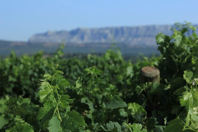 Cotes de Provence Wine Tour from Aix-en-Provence - A Half-Day Côtes de Provence Escape From Aix (Without the Headache)