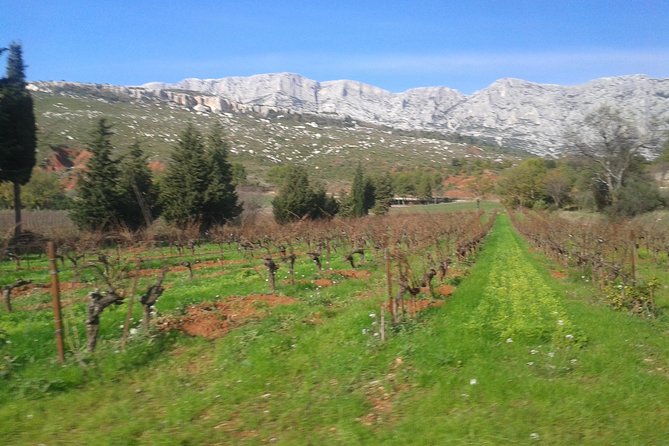 Cotes de Provence Wine Tour from Aix-en-Provence - Getting there: meeting point, end point, and what to plan
