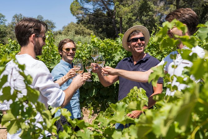 Cotes de Provence Wine Tour from Aix-en-Provence - What guides actually do well on this tour (Rémy, Greg, Rafael, and more)