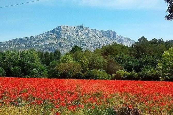 Cotes de Provence Wine Tour from Aix-en-Provence - Price and value: what $119.77 buys you in real terms