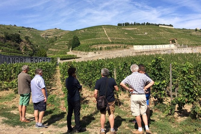 Cotes du Rhone Wine Tour - Private Tour - Full Day From Lyon - Key points to know before booking