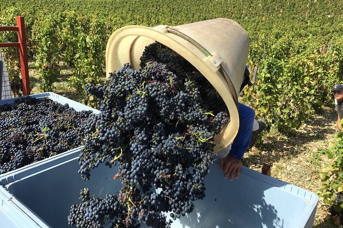 Cotes du Rhone Wine Tour - Private Tour - Full Day From Lyon - The first winery and the flavors of Hermitage