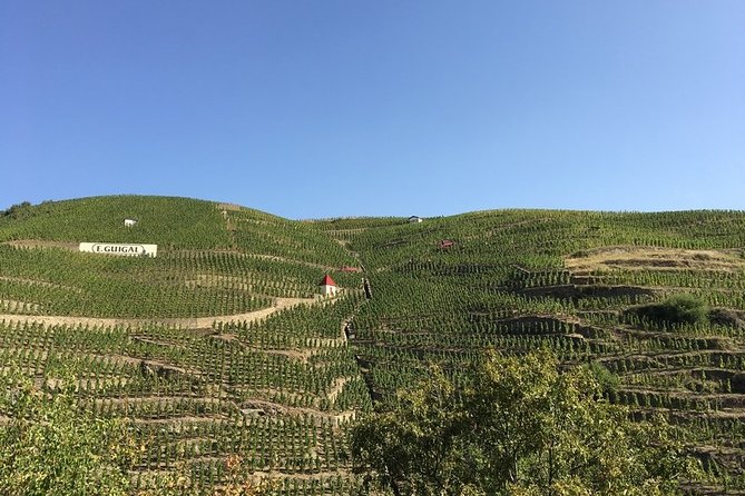 Cotes du Rhone Wine Tour - Private Tour - Full Day From Lyon - Malleval and a family winery visit