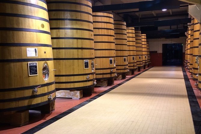 Cotes du Rhone Wine Tour - Private Tour - Full Day From Lyon - Condrieu, Ampuis, and the steep Côte-Rôtie vines