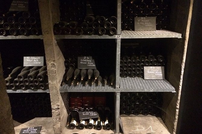 Cotes du Rhone Wine Tour - Private Tour - Full Day From Lyon - Who will get the most from this tour