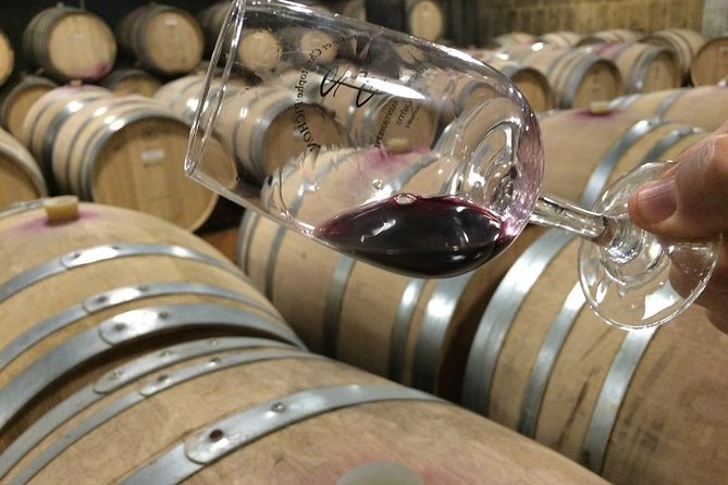 Cotes du Rhone Wine Tour - Private Tour - Full Day From Lyon - Tain-l’Hermitage and the view from St Christopher Chapel