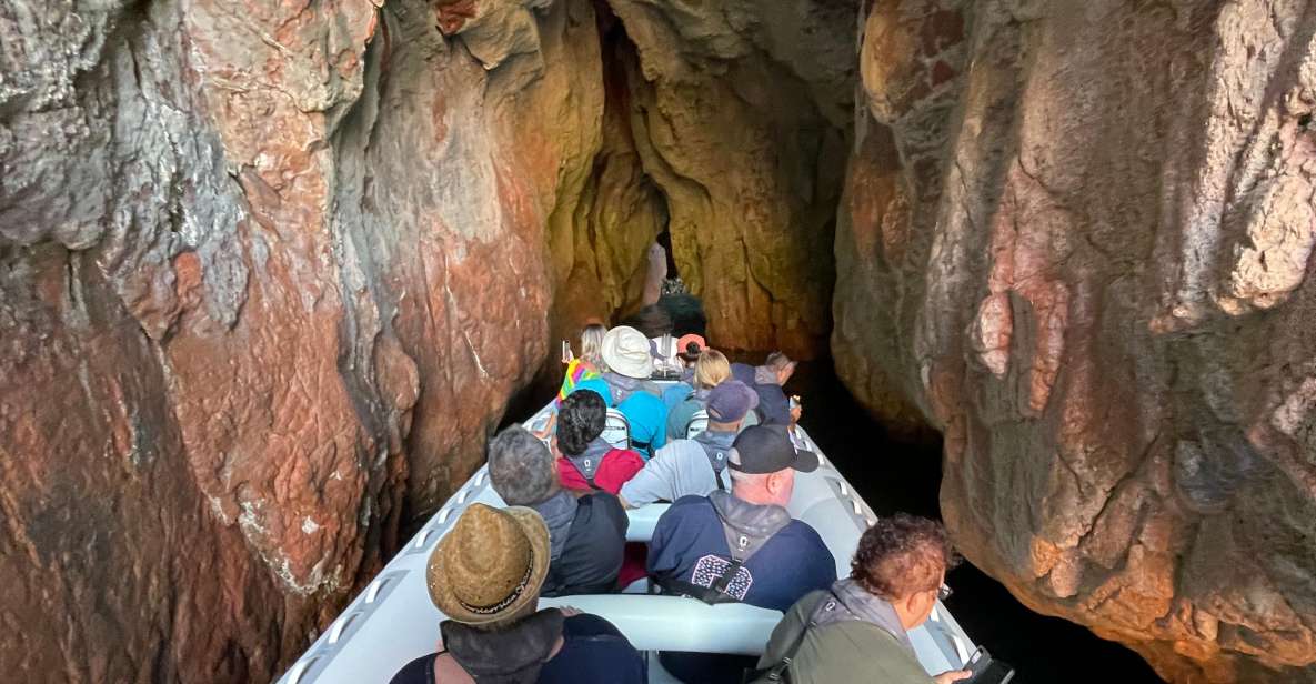 Croisière Calanques de Piana - Baignade bateau 12 places - Who this boat tour is best for (and who should pass)
