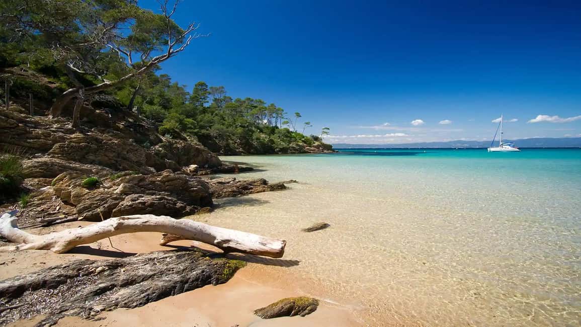 Cruise of the 2 Islands: Porquerolles & Port-Cros with stops - Key things to know before you go