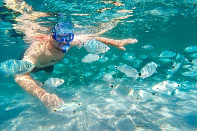 Cruise to Bonifacio and Snorkeling to the Lavezzi Islands - Why this coastal trip works so well in four hours