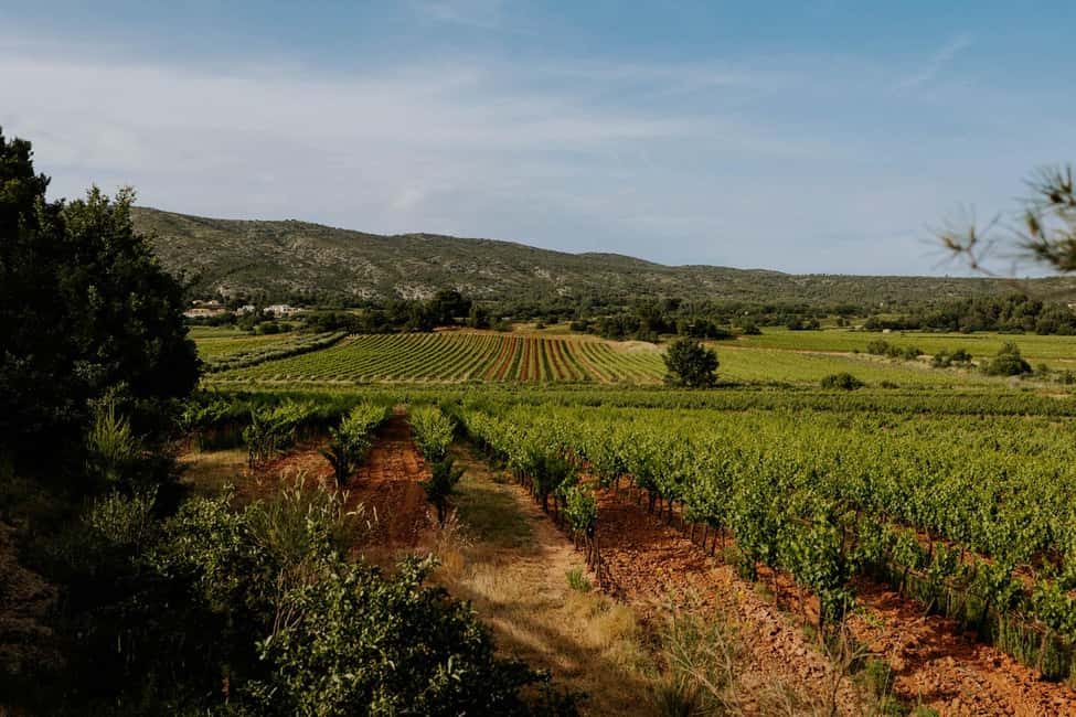 Customizable Aix-en-Provence, Marseille, Cassis, Countryside - Why Tom’s planning style matters